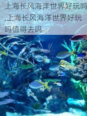 上海长风海洋世界好玩吗,上海长风海洋世界好玩吗值得去吗