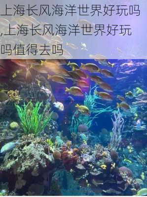 上海长风海洋世界好玩吗,上海长风海洋世界好玩吗值得去吗-第2张图片-阿丹旅游网