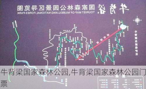 牛背梁国家森林公园,牛背梁国家森林公园门票-第2张图片-阿丹旅游网