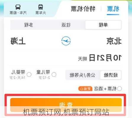 机票预订网,机票预订网站-第2张图片-阿丹旅游网