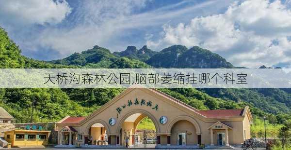 天桥沟森林公园,脑部萎缩挂哪个科室-第2张图片-阿丹旅游网