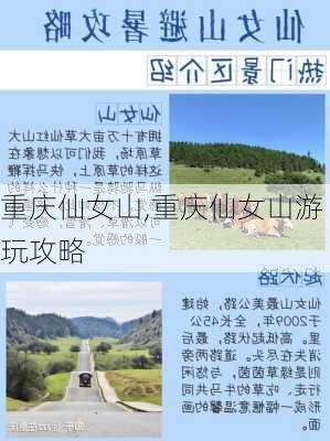 重庆仙女山,重庆仙女山游玩攻略-第1张图片-阿丹旅游网