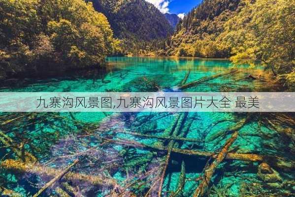 九寨沟风景图,九寨沟风景图片大全 最美-第1张图片-阿丹旅游网