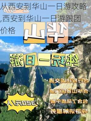 从西安到华山一日游攻略,西安到华山一日游跟团价格-第3张图片-阿丹旅游网