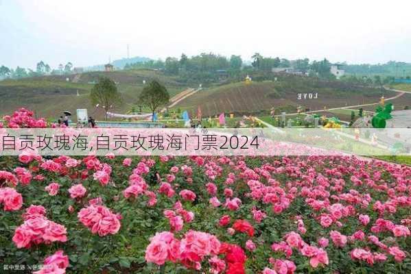 自贡玫瑰海,自贡玫瑰海门票2024-第3张图片-阿丹旅游网