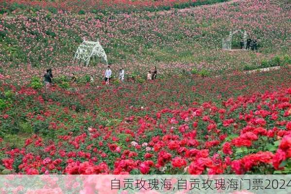 自贡玫瑰海,自贡玫瑰海门票2024-第2张图片-阿丹旅游网