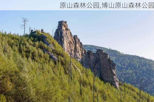 原山森林公园,博山原山森林公园-第1张图片-阿丹旅游网