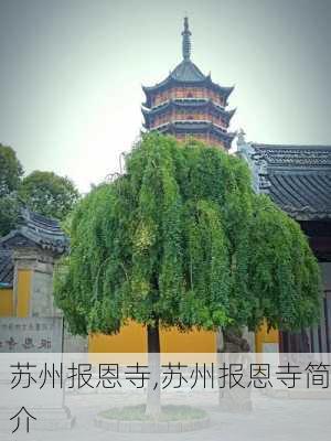 苏州报恩寺,苏州报恩寺简介-第3张图片-阿丹旅游网