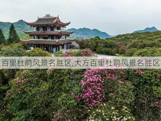 百里杜鹃风景名胜区,大方百里杜鹃风景名胜区