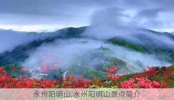 永州阳明山,永州阳明山景点简介-第1张图片-阿丹旅游网