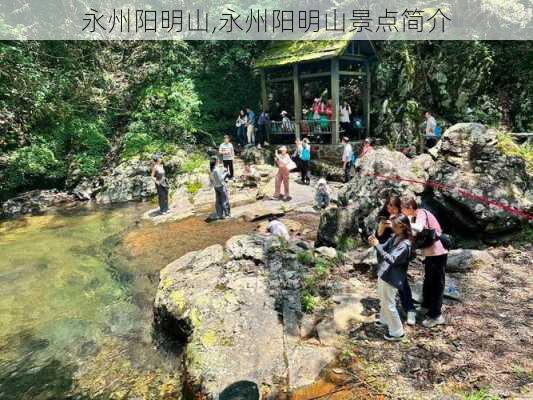 永州阳明山,永州阳明山景点简介-第3张图片-阿丹旅游网