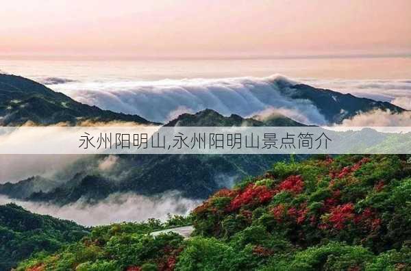 永州阳明山,永州阳明山景点简介-第2张图片-阿丹旅游网