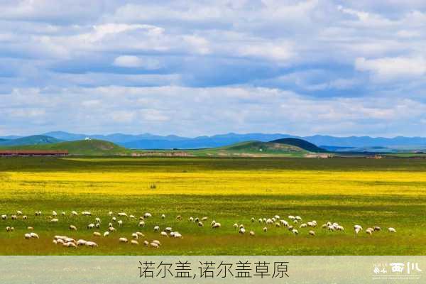 诺尔盖,诺尔盖草原-第1张图片-阿丹旅游网