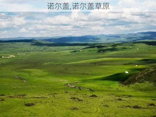 诺尔盖,诺尔盖草原-第3张图片-阿丹旅游网