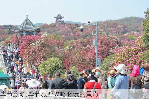 毕节旅游,毕节旅游攻略必玩的景点-第2张图片-阿丹旅游网