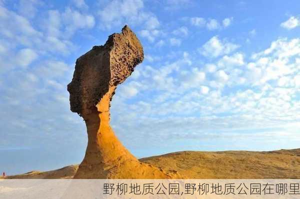 野柳地质公园,野柳地质公园在哪里-第2张图片-阿丹旅游网