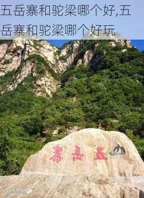 五岳寨和驼梁哪个好,五岳寨和驼梁哪个好玩-第2张图片-阿丹旅游网