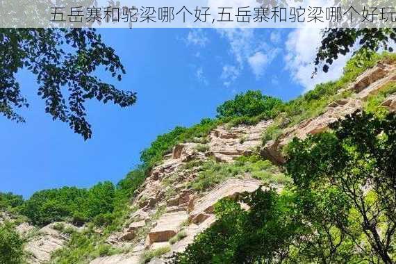 五岳寨和驼梁哪个好,五岳寨和驼梁哪个好玩-第3张图片-阿丹旅游网