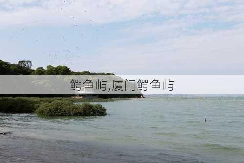 鳄鱼屿,厦门鳄鱼屿-第2张图片-阿丹旅游网