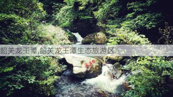 韶关龙王潭,韶关龙王潭生态旅游区-第3张图片-阿丹旅游网