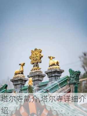 塔尔寺简介,塔尔寺详细介绍-第3张图片-阿丹旅游网