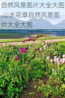 自然风景图片大全大图,山水花草自然风景图片大全大图-第2张图片-阿丹旅游网