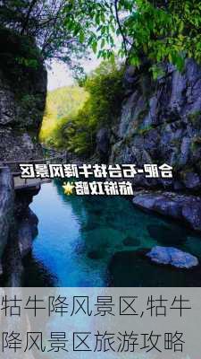 牯牛降风景区,牯牛降风景区旅游攻略-第1张图片-阿丹旅游网