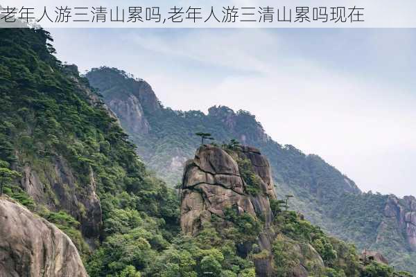 老年人游三清山累吗,老年人游三清山累吗现在-第2张图片-阿丹旅游网