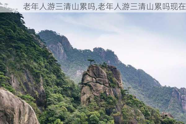 老年人游三清山累吗,老年人游三清山累吗现在-第1张图片-阿丹旅游网