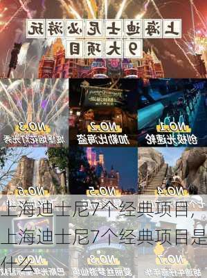 上海迪士尼7个经典项目,上海迪士尼7个经典项目是什么-第1张图片-阿丹旅游网