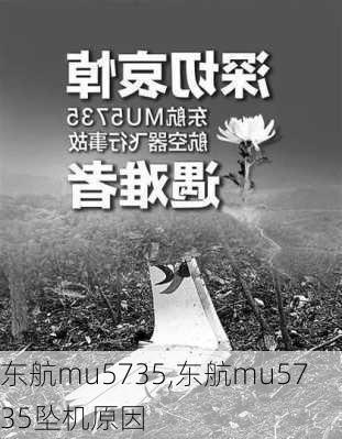 东航mu5735,东航mu5735坠机原因-第2张图片-阿丹旅游网