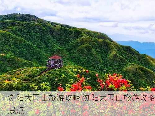 浏阳大围山旅游攻略,浏阳大围山旅游攻略景点-第3张图片-阿丹旅游网