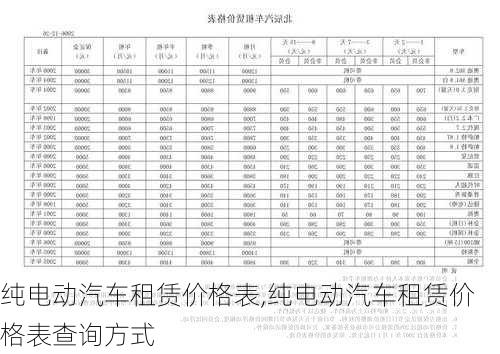 纯电动汽车租赁价格表,纯电动汽车租赁价格表查询方式-第2张图片-阿丹旅游网