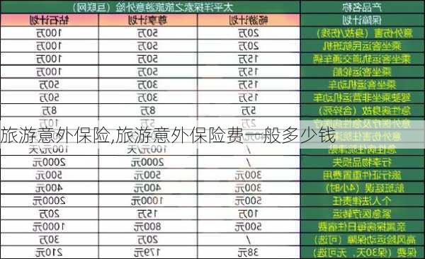 旅游意外保险,旅游意外保险费一般多少钱-第2张图片-阿丹旅游网