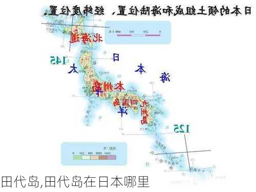 田代岛,田代岛在日本哪里-第3张图片-阿丹旅游网