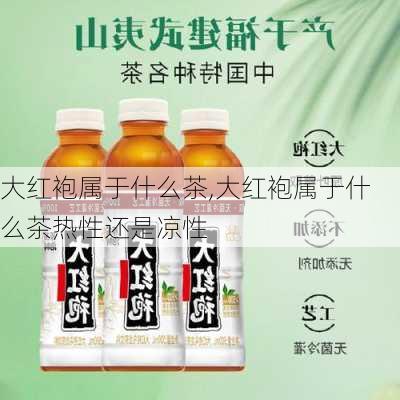 大红袍属于什么茶,大红袍属于什么茶热性还是凉性-第3张图片-阿丹旅游网