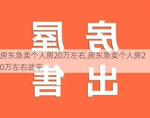 房东急卖个人房20万左右,房东急卖个人房20万左右武平-第3张图片-阿丹旅游网