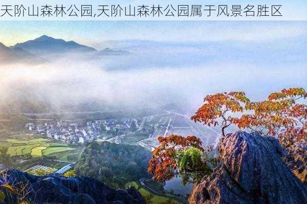 天阶山森林公园,天阶山森林公园属于风景名胜区-第3张图片-阿丹旅游网