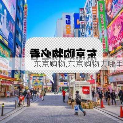 东京购物,东京购物去哪里-第3张图片-阿丹旅游网