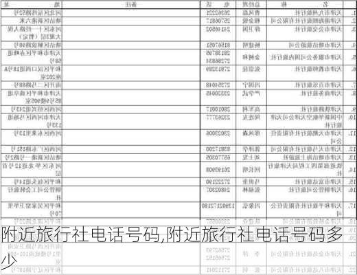 附近旅行社电话号码,附近旅行社电话号码多少-第2张图片-阿丹旅游网