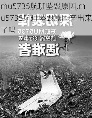 mu5735航班坠毁原因,mu5735航班坠毁原因查出来了吗-第1张图片-阿丹旅游网