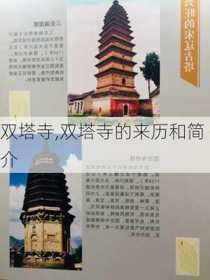 双塔寺,双塔寺的来历和简介-第1张图片-阿丹旅游网