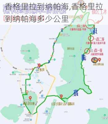 香格里拉到纳帕海,香格里拉到纳帕海多少公里