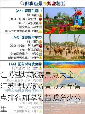 江苏盐城旅游景点大全,江苏盐城旅游景点大全景点排名如皋到盐城多少公里