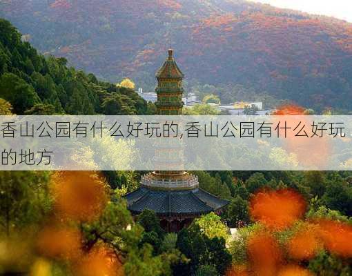 香山公园有什么好玩的,香山公园有什么好玩的地方-第1张图片-阿丹旅游网