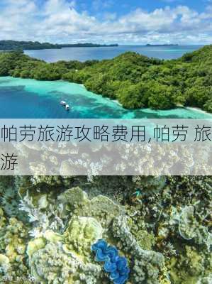 帕劳旅游攻略费用,帕劳 旅游-第1张图片-阿丹旅游网