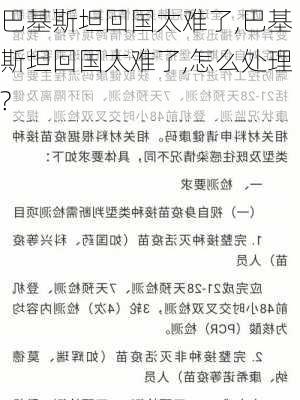 巴基斯坦回国太难了,巴基斯坦回国太难了,怎么处理?-第3张图片-阿丹旅游网