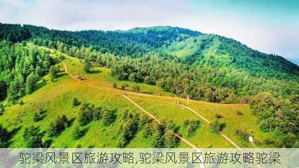 驼梁风景区旅游攻略,驼梁风景区旅游攻略驼梁-第3张图片-阿丹旅游网